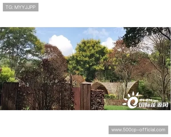 自适应码流技术适配不同网络环境